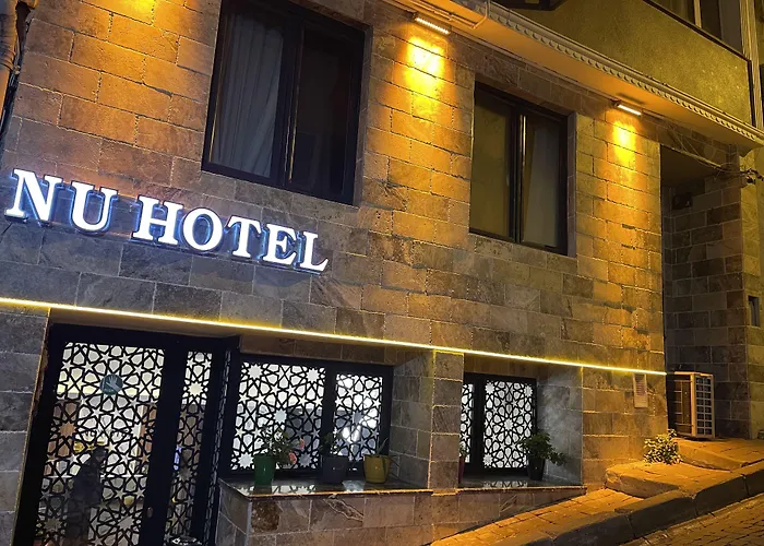 Sultanahmet Nu Hotel Provincia di Provincia di Istanbul